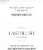 NEW Last Blush - 15 Colors