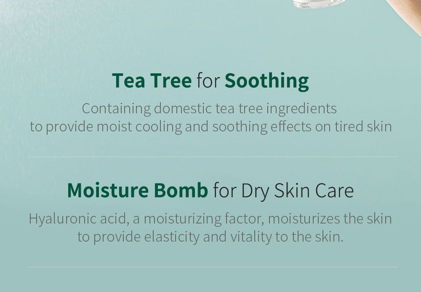 Buy Benton - Tea Tree Mist 80ml in Bulk | AsianBeautyWholesale.com