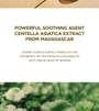 Madagascar Centella Soothing Cream