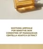 Madagascar Centella Asiatica 100 Ampoule