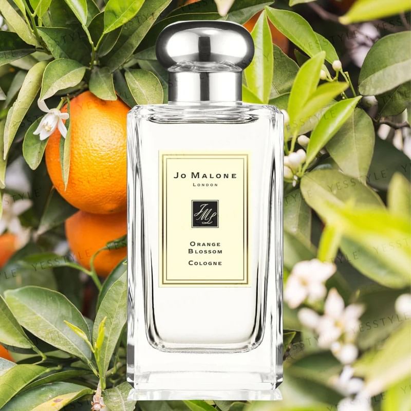 その他 Jo malone Orange Blossom Cologne 100Ml Jo Malone London Orange Blossom Cologne | Saks Fifth Avenue