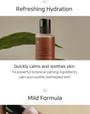 Calming & Comforting Toner