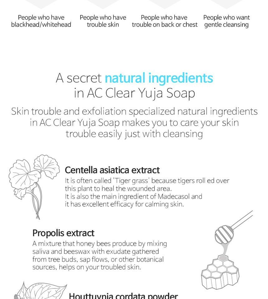 the plant base yuja soap