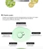 Centella Phyto & 5 Peptide Concentrate Cream