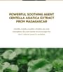 Madagascar Centella Asiatica 100 Ampoule Bundle Set