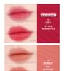 Lipsleek Blur - 10 Colors