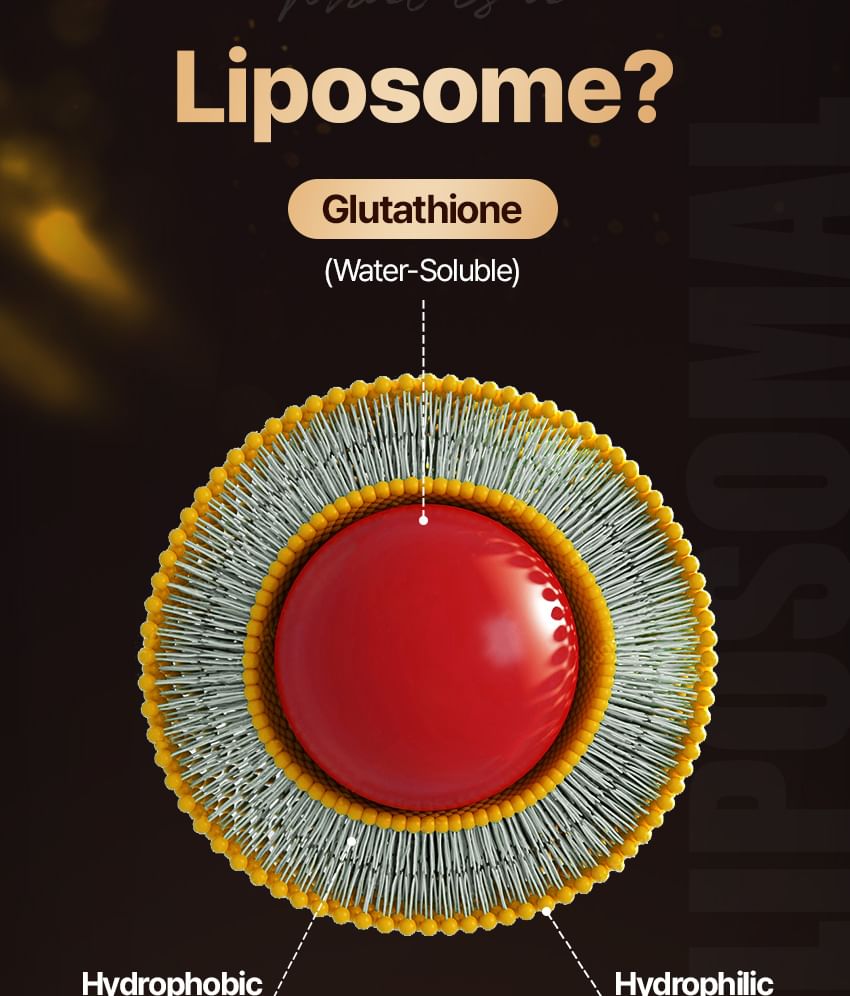 liposome glutathione film 30 Films, Vitamin Village Liposome Glutathione Ever Film