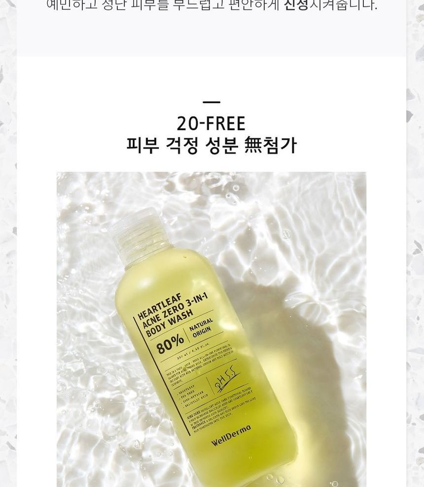 Buy WellDerma Heartleaf Acne Zero 3in1 Body Wash in Bulk