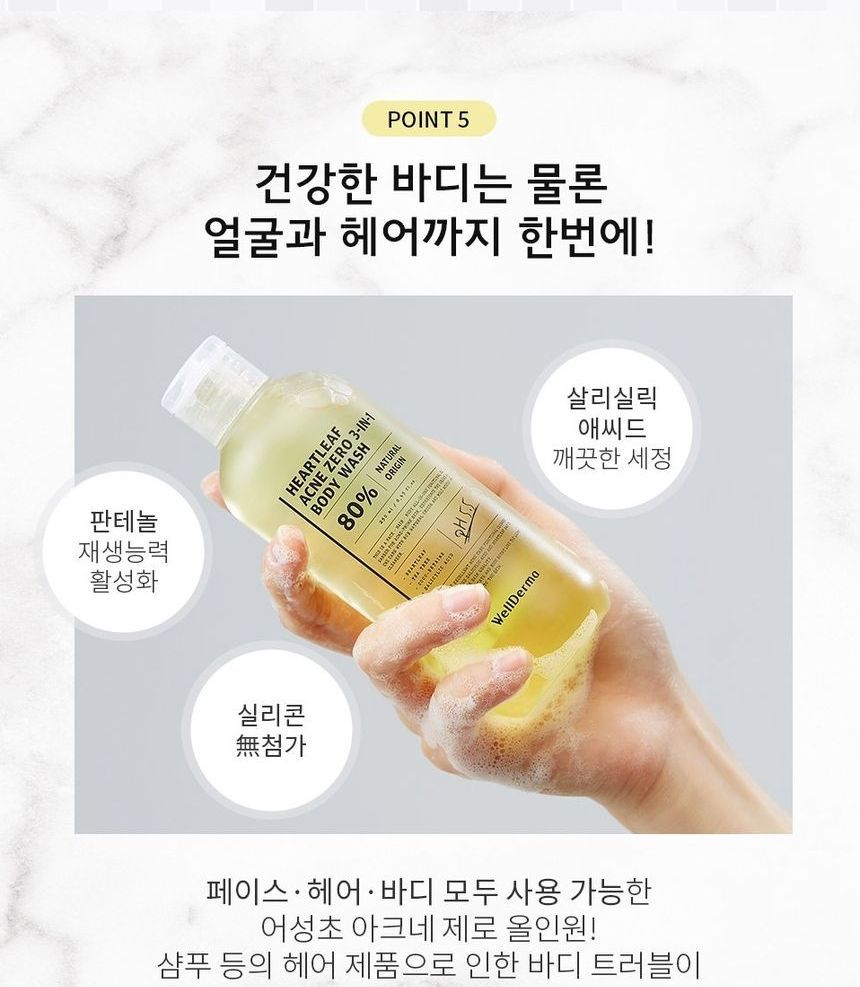 Buy WellDerma Heartleaf Acne Zero 3in1 Body Wash in Bulk