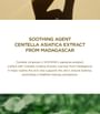 Madagascar Centella Ampoule