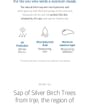 Birch Juice Moisturizing Sunscreen Bundle Set