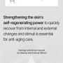 Premium Centella Asiatica Serum