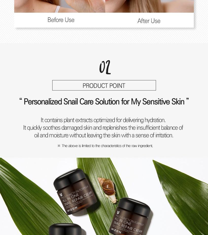 MIZON All In One Snail Repair Cream 75ml | YesStyle
