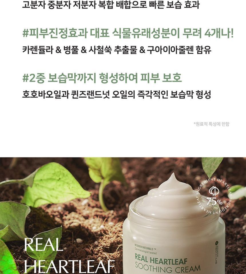 Buy NEOGEN - Dermalogy Real Heartleaf Soothing Cream in Bulk ...