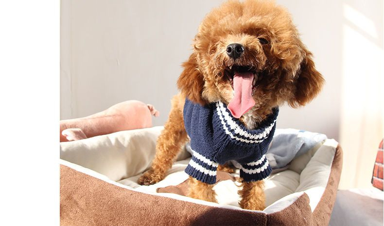 salonga - 宠物小熊上衣 / 毛衣