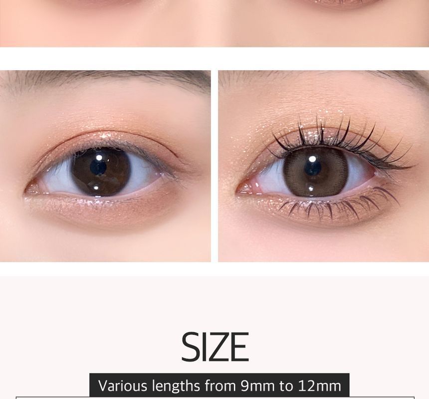 Buy CORINGCO ToktokHara Filter Eyelash 4 Types in Bulk