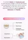 No. 2 Water Collagen 65% Voluming Sheet Mask