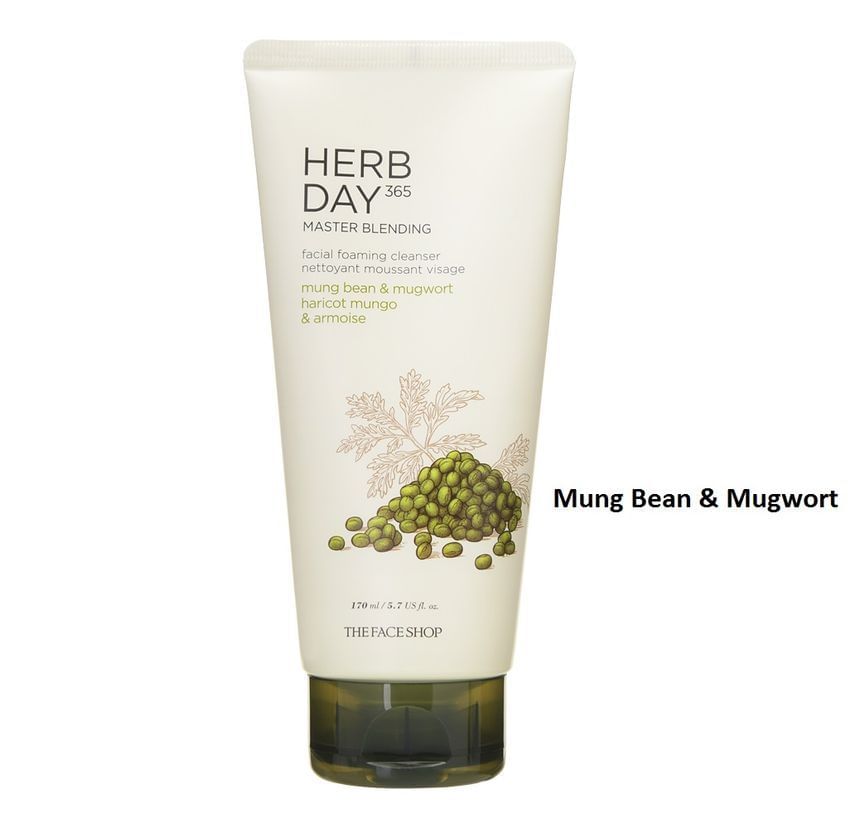 Buy THE FACE SHOP Herb Day 365 Master Blending Cleansing Foam 5