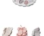Shell's Jewel 6-Color Makeup Palette - 3 Colors
