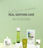 daymellow Houttuynia Cordata Real Soothing Cream 80g