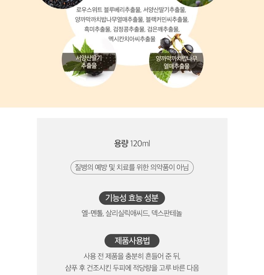 Buy NATURE REPUBLIC Black Bean Anti Hair Loss Root Tonic in Bulk