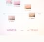 Mood Shadow Palette Cotton Powder Special Set