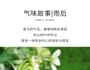 Yanyu Green Tea Eau De Parfum