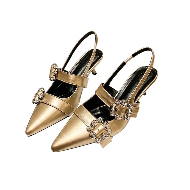 Anjay-Pointed Toe Buckled Slingback Kitten Heel Mary Jane Pumps