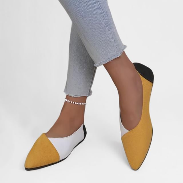 Anran-Pointed Toe Color Block Panel Flats
