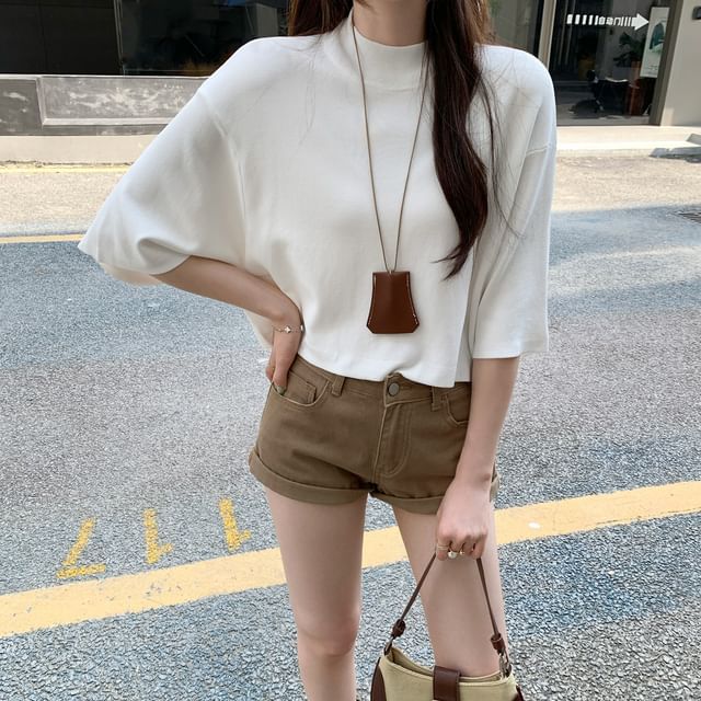 Asiris-34-Sleeve Mock Neck Plain Crop Knit Top