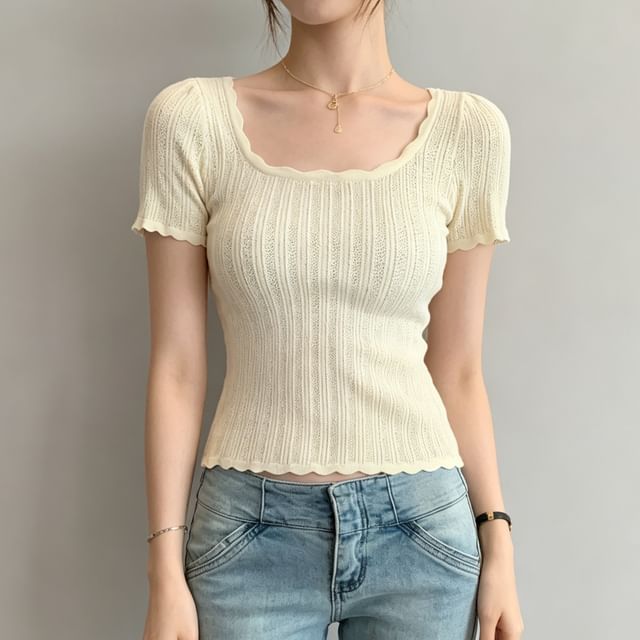 Asiris-Short Sleeve Square Neck Plain Pointelle Knit Top