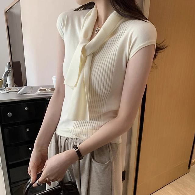 CRIBI-Short-Sleeve V-Neck Plain Knit Top
