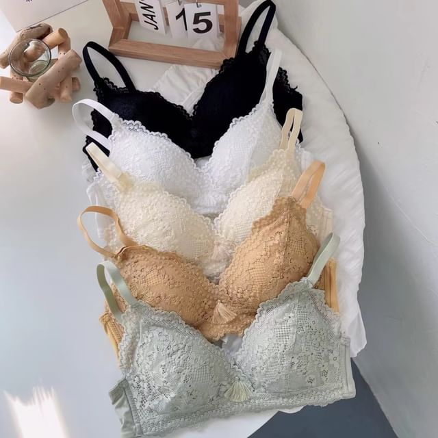 Croix-Plain Lace Wireless Bra
