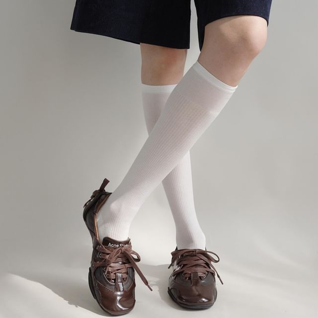 Desperim-Sheer Plain Over-The-Knee Socks