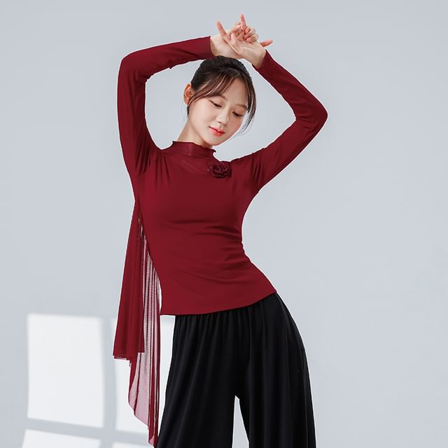 femmal-Long-Sleeve Mock Neck Plain Sheer Panel Dance Top
