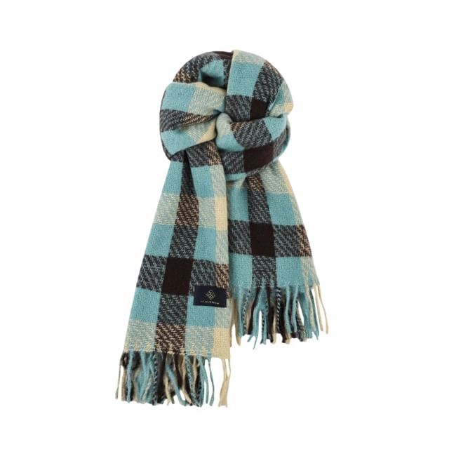 Frior-Plaid Fringe Scarf