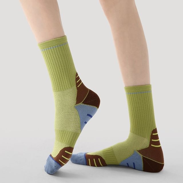 Gentiana-Striped Crew Socks