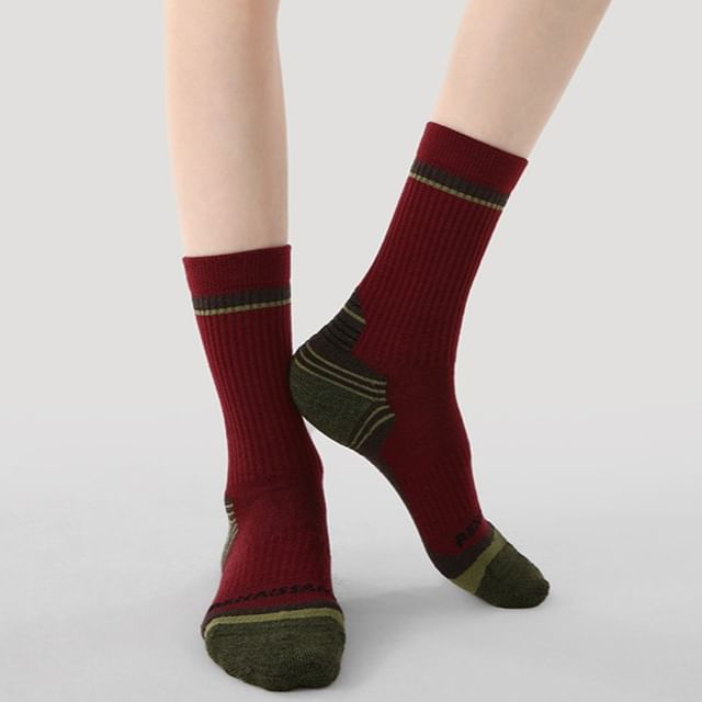 Gentiana-Striped Crew Socks