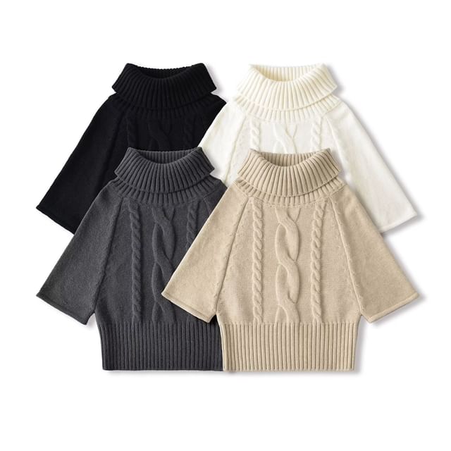 Hollahop-34-Sleeve Turtleneck Plain Cable Knit Sweater