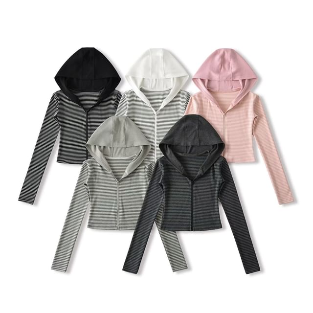 Hollahop-Hooded Striped Crop Zip-Up Jacket