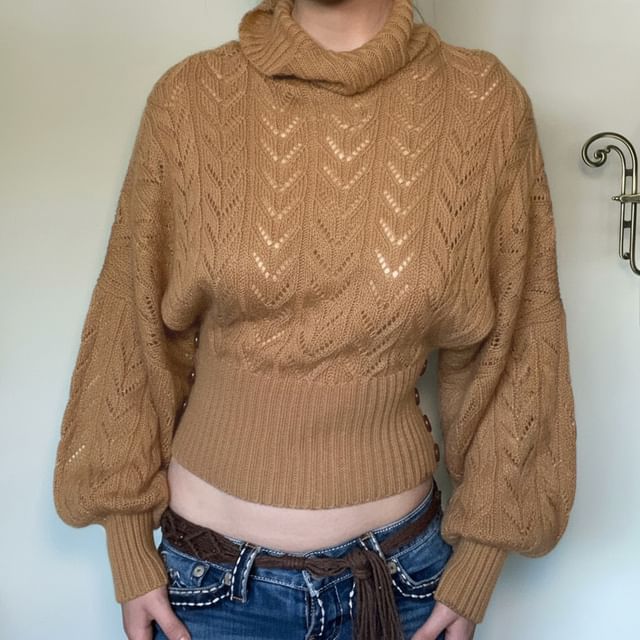 Honet-Turtleneck Plain Pointelle Sweater