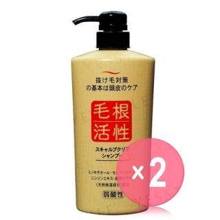 JUN COSMETIC-Root Activity Scalp Clear Shampoo 2pcs Bundle Set