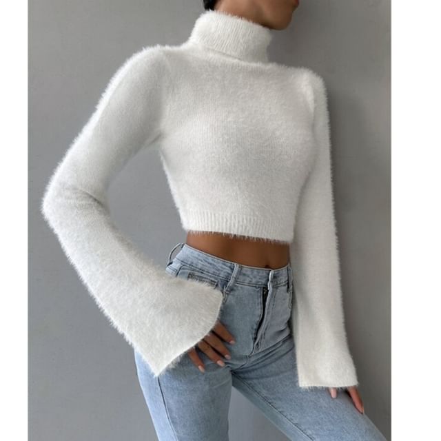 Litoya-Turtleneck Plain Crop Sweater