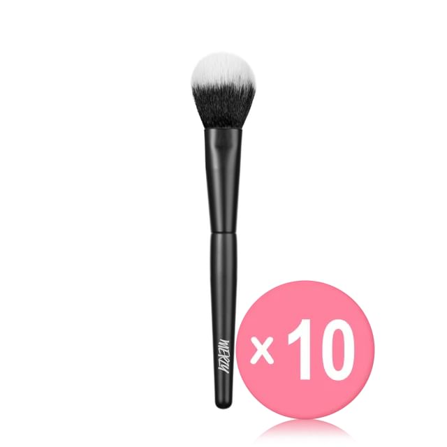 MERZY-Point Blusher Brush 10pcs Bundle Set