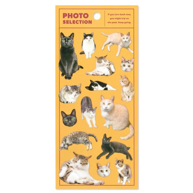 MIND WAVE-Photo Selection Sticker Cat