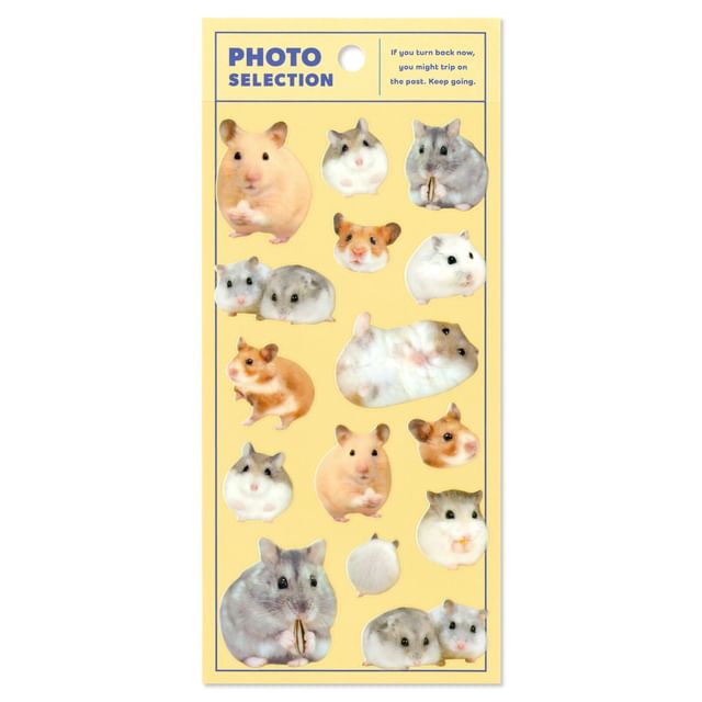 MIND WAVE-Photo Selection Sticker Hamster