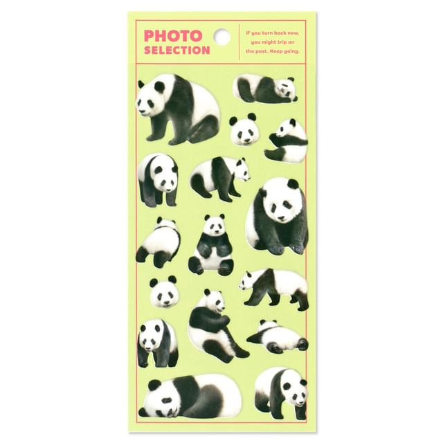 MIND WAVE-Photo Selection Sticker Panda