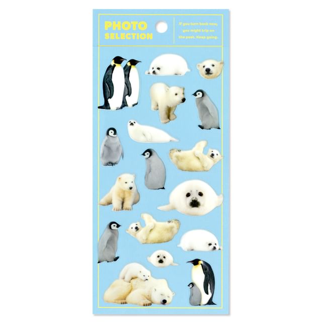 MIND WAVE-Photo Selection Sticker Polar Animals