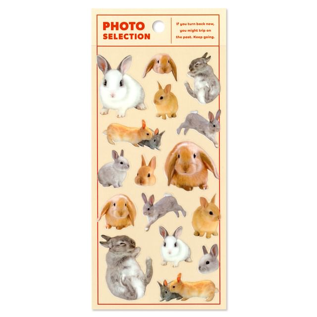 MIND WAVE-Photo Selection Sticker Rabbit