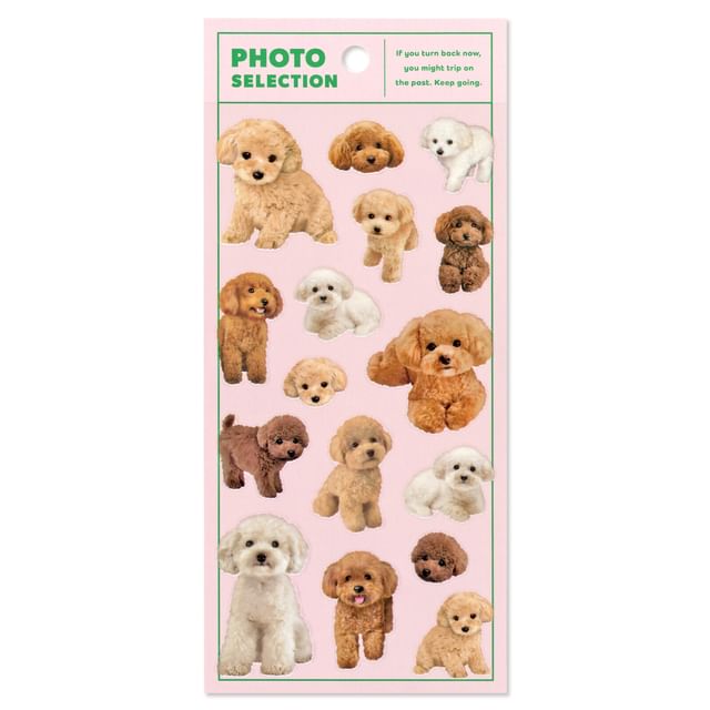 MIND WAVE-Photo Selection Sticker Toy Poodle
